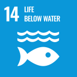 SDG - Life Below Water
